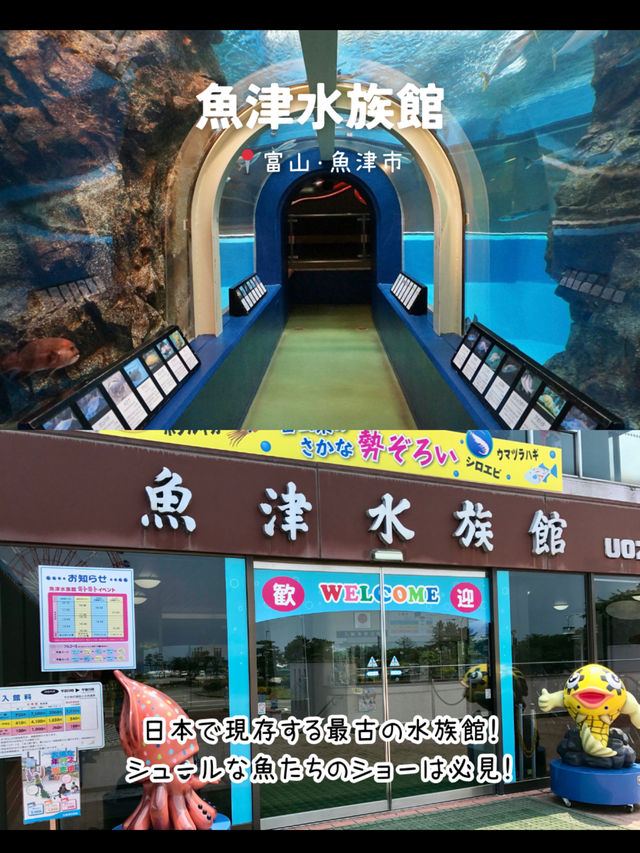 【富山】行ってよかった！富山県のおすすめ観光スポット7選