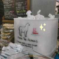 FEED LLAMA FOR ONLY 1NZD