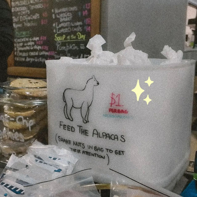 FEED LLAMA FOR ONLY 1NZD