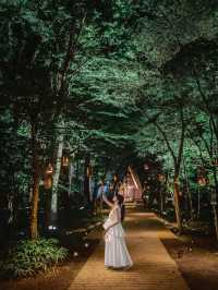 やわらかな光であふれる🕯️ランタンキャンドルの森🌲