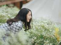 ภูดอย โฮมสเตย์ ม่อนแจ่ม
