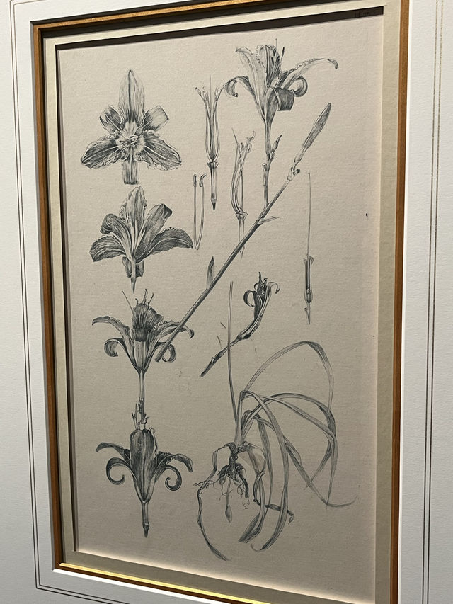 深圳展覽：認識捷克國寶級藝術家穆夏