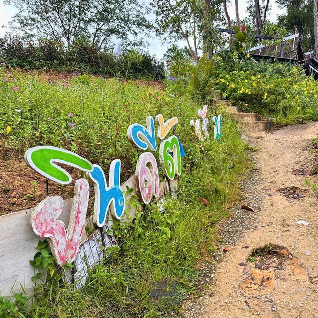 🌁 จุดชมวิว ดินแดงดอย 