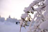 瑞典的白雪小鎮Kiruna