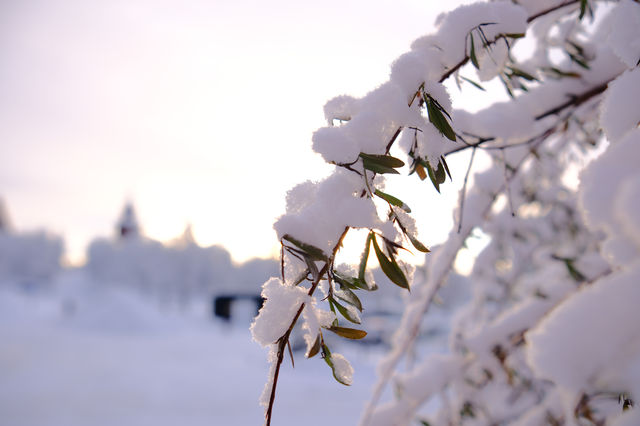 瑞典的白雪小鎮Kiruna