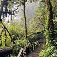 Reach new heights at Doi Inthanon – Thailand’s roof is calling!