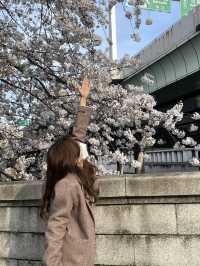日本橋　