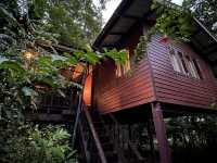 📍Our Jungle House จ.สุราฎร์ธานี
