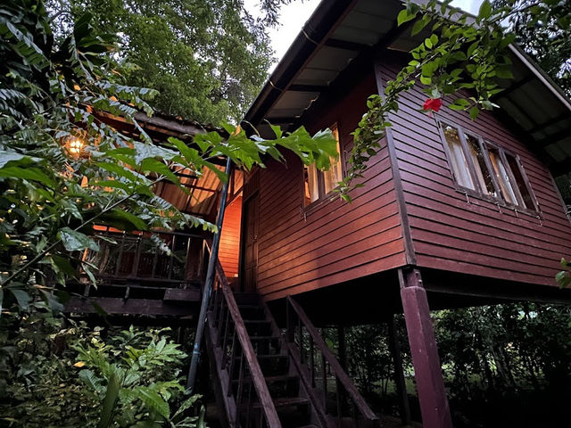 📍Our Jungle House จ.สุราฎร์ธานี