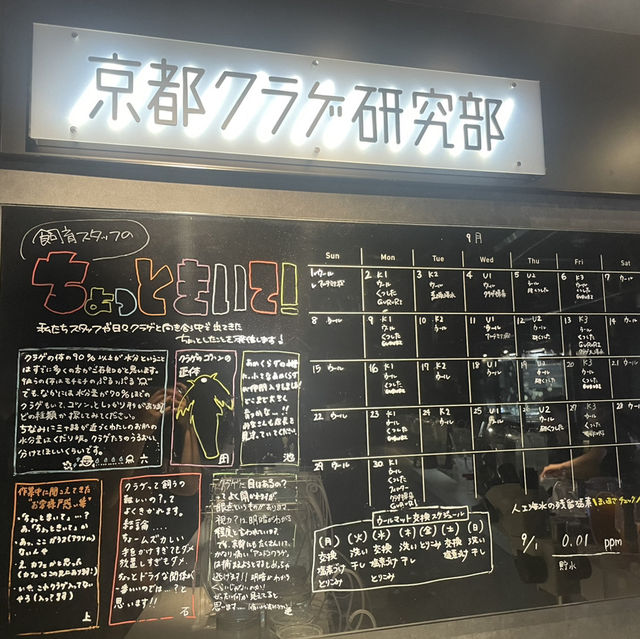 京都水族館がリニューアルしてクラゲ好きにはたまらないスポットに！！