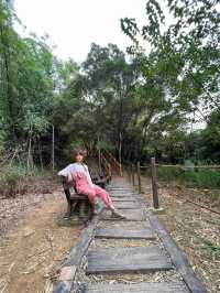 台中親民 登山健行步道