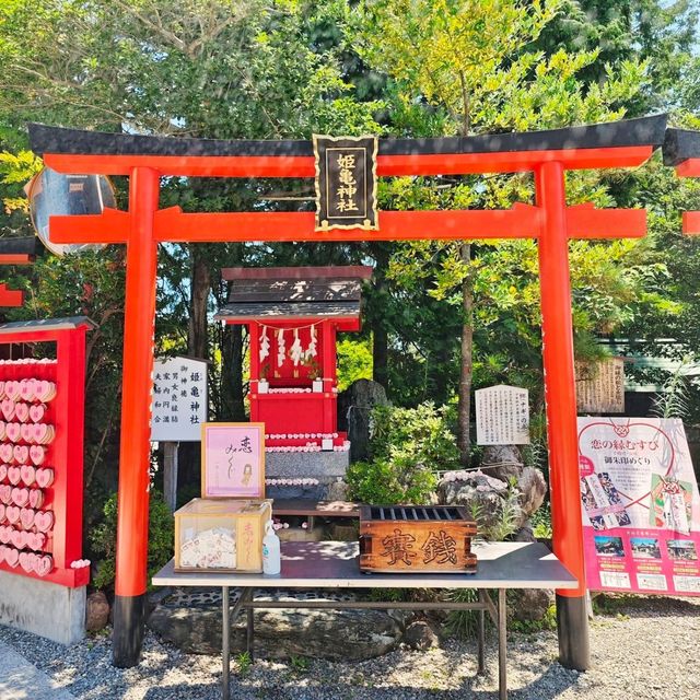 三光稻荷⛩️神社💦洗錢💴之旅