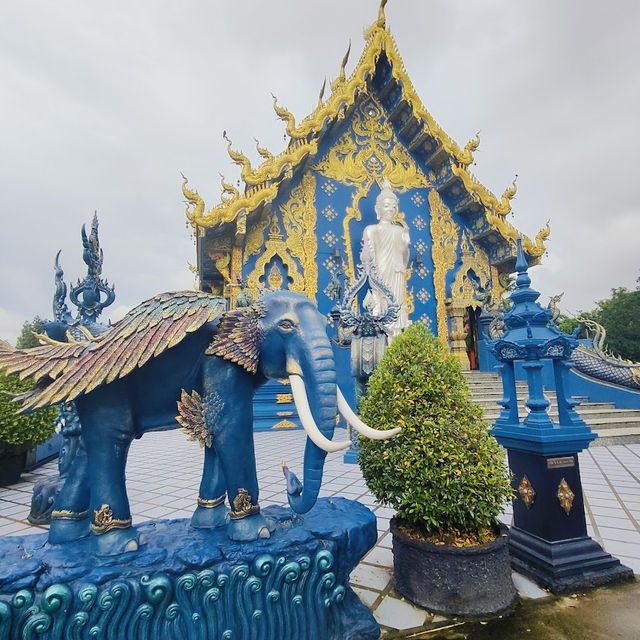 🌳วัดร่องเสือเต้น