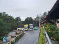 🌲Dalat Cable Car 🚠 