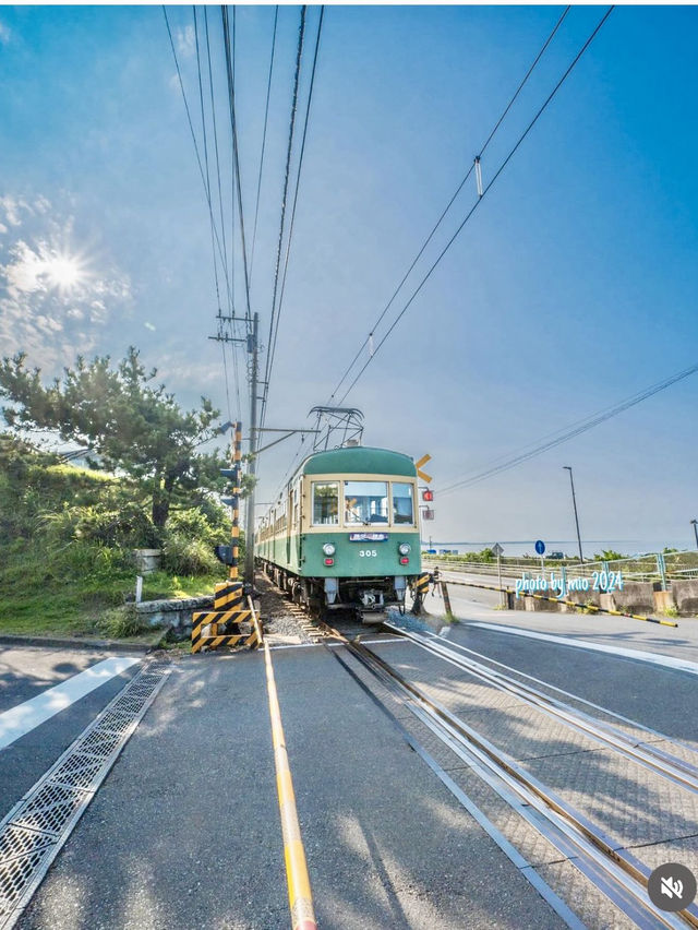 🇯🇵関東の旅