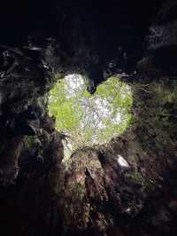 屋久島トレッキング