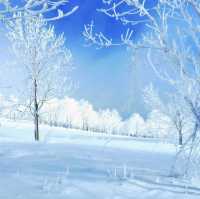 Snow Valley 雪谷( ตั้งอยู่ในเขต Wuchang) 