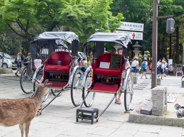 【奈良旅行】