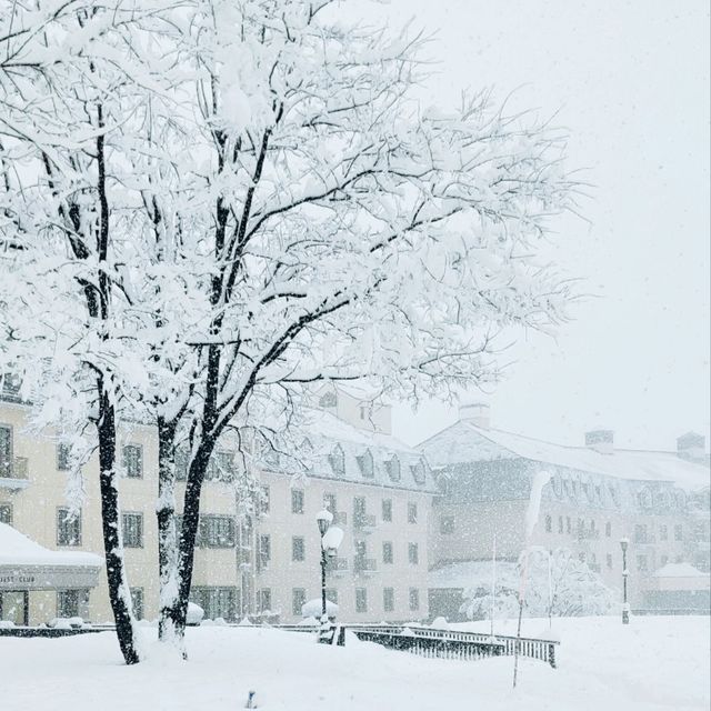  ❄️ 白色天堂：樂天新井度假村