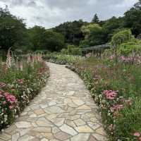 A Floral Wonderland