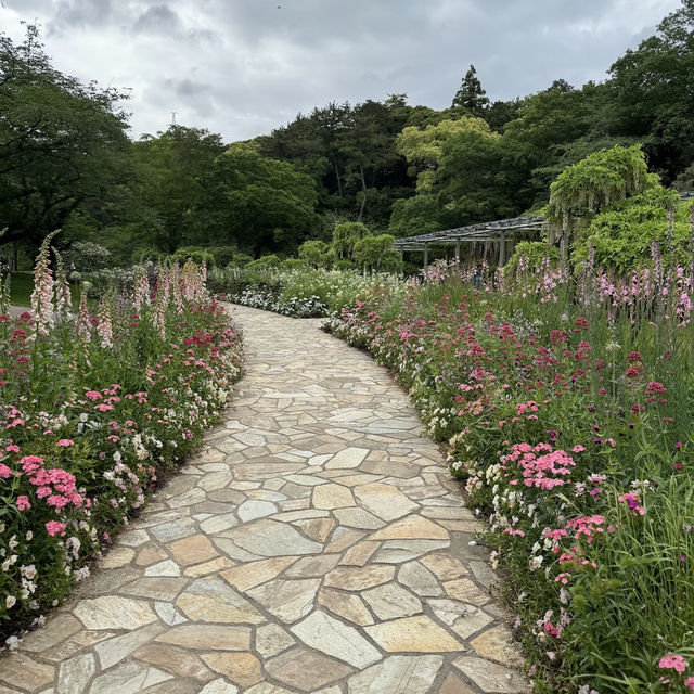 A Floral Wonderland