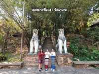 เช่ารถพร้อมคนขับ ตะลุยไหว้พระบนดอย 🚗🍃