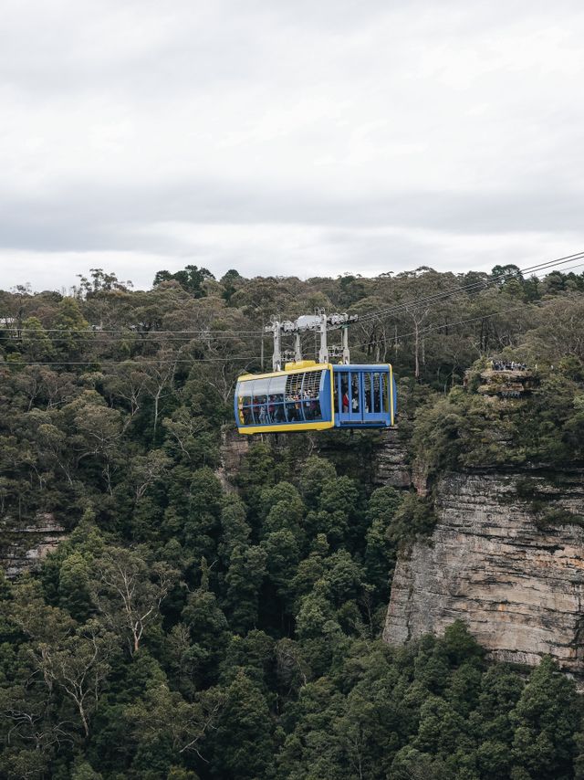 🇦🇺悉尼 世界上最陡的商業纜車 斜度達 52 度 超刺激！🚠