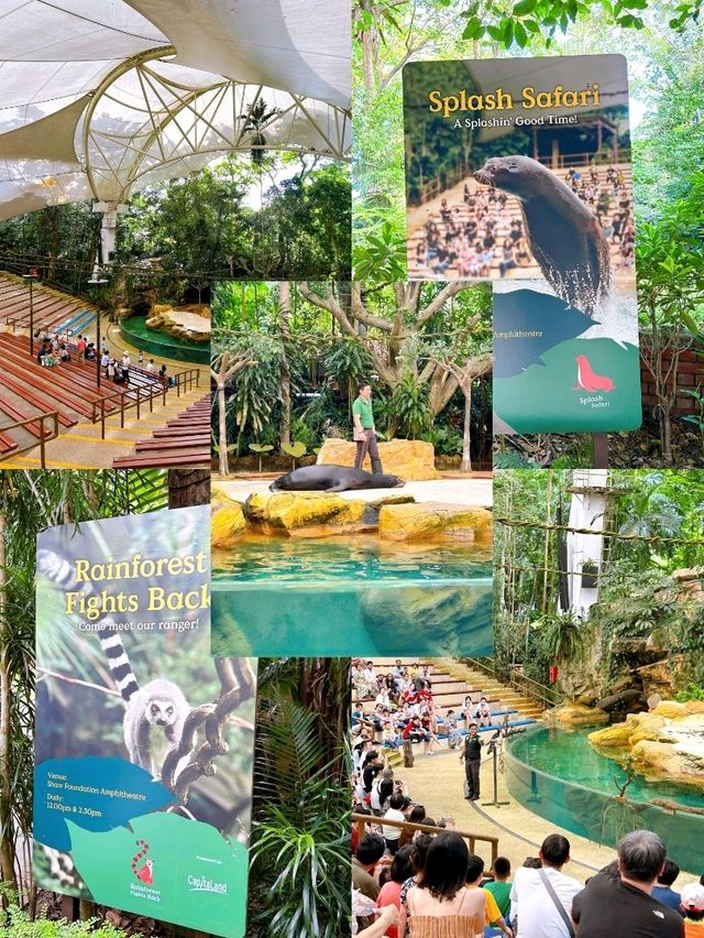 Watching the Wildlife Performances at Singapore Zoo