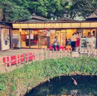 日本三大名園之一：岡山後樂園