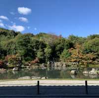 Zen Serenity at Tenryu-ji Temple in Kyoto