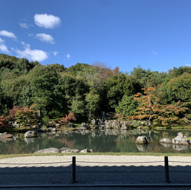 Zen Serenity at Tenryu-ji Temple in Kyoto