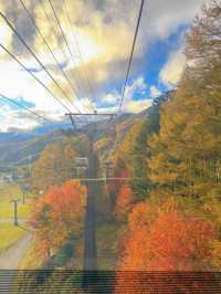 【群馬】超穴場紅葉スポット!!奇跡の絶景を楽しもう🧡