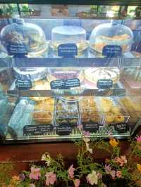 Klangsuan Cafe |ชุมพร