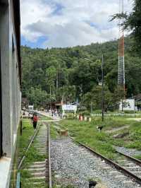 นั่งรถไฟเชียงใหม่-แพร่ | ฤดูฝน 🚃⛰️🌿🌳