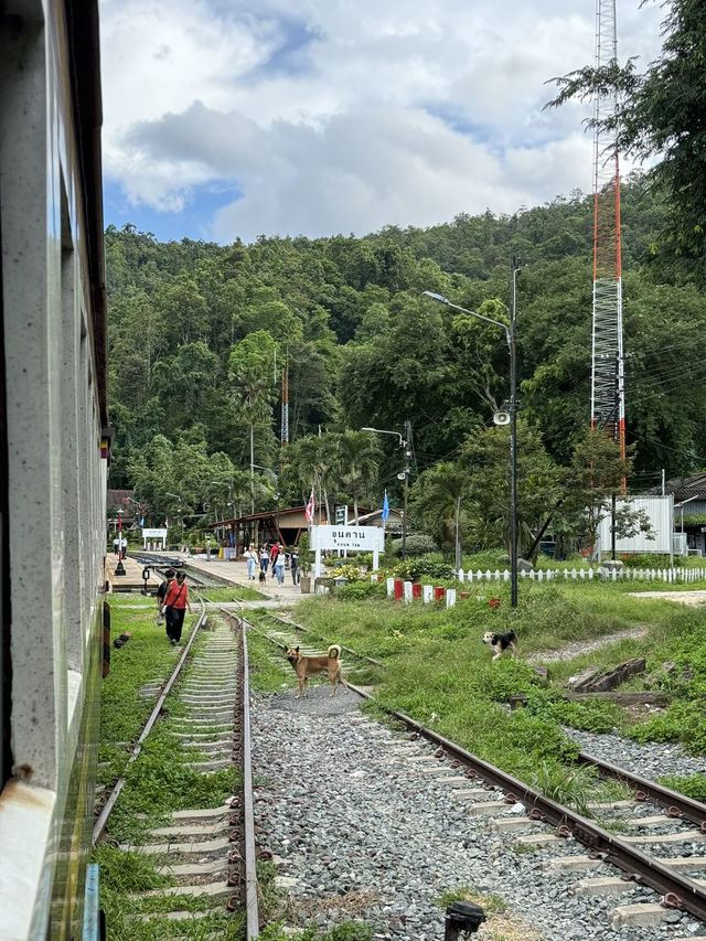 นั่งรถไฟเชียงใหม่-แพร่ | ฤดูฝน 🚃⛰️🌿🌳