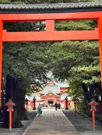 300年歷史建築🫶🏻霧島神宮🤓保佑心願達成