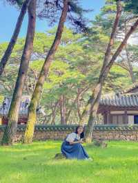 자연과 역사가 살아 숨쉬는 즐거운 여행지 영월💚 