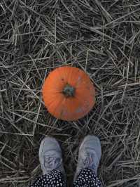 【バンクーバー🇨🇦】カナダで日本とは一味違うハロウィンを🎃