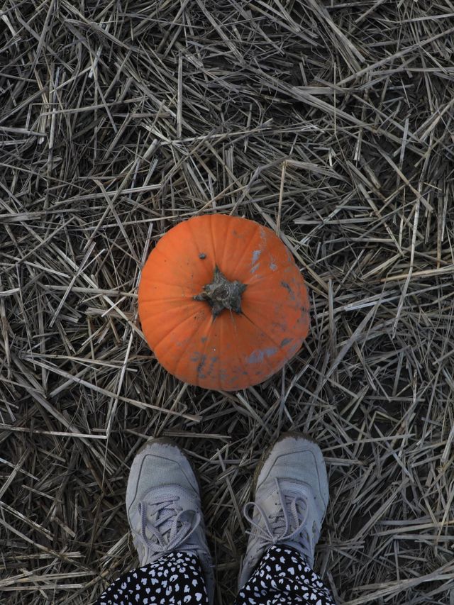 【バンクーバー🇨🇦】カナダで日本とは一味違うハロウィンを🎃