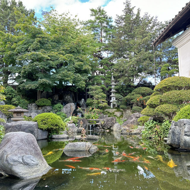 日本米澤東光酒造：清酒的魅力之旅