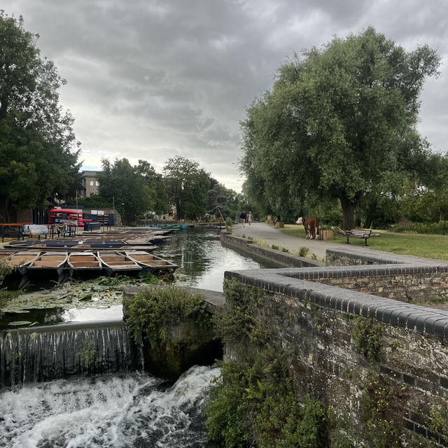 Discover The Charms of Cambridge: A Half-Day Tour Through History and Academia