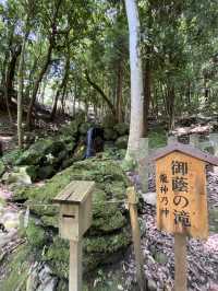 【京都観光】身も心も清められる出雲大神宮で御参拝⛩️