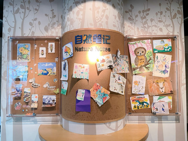 เดินเล่นพิพิธภัณฑ์ประวัติศาสตร์ธรรมชาติเซี่ยงไฮ้🦕