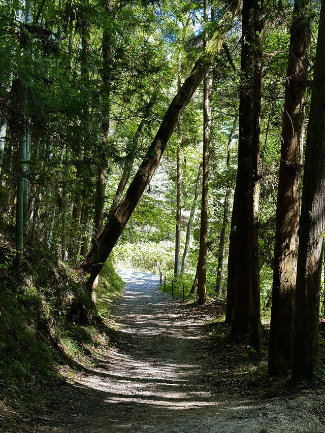 the Historic Nakasendo Trail 🥾