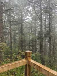 Huanglong Forest is the Paradise 