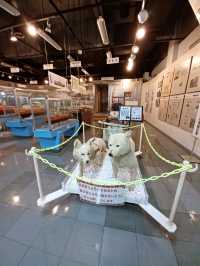 【稚内市青少年科学館:北海道稚内市】貴重な南極探索の展示がある科学館☃️
