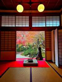 【京都/紅葉スポット】実は花手水が美しい💕めちゃくちゃ人気の人混み必須なお寺🧘‍♀️🍂