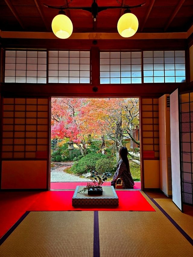 【京都/紅葉スポット】実は花手水が美しい💕めちゃくちゃ人気の人混み必須なお寺🧘‍♀️🍂