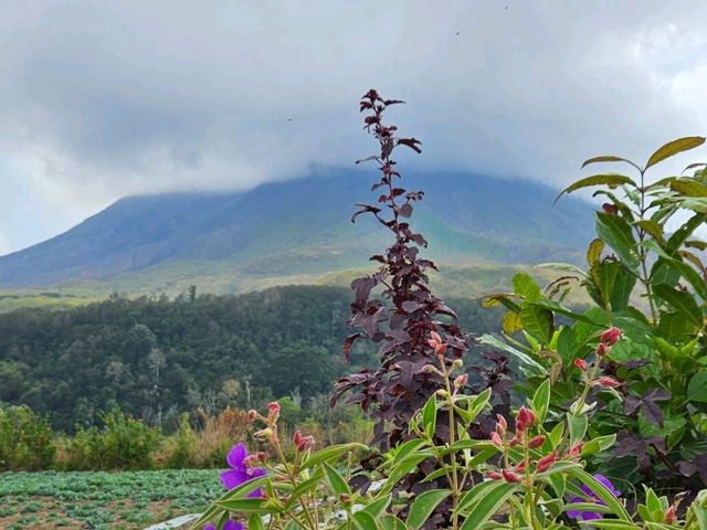 Active volcano of Mount Sinabung
