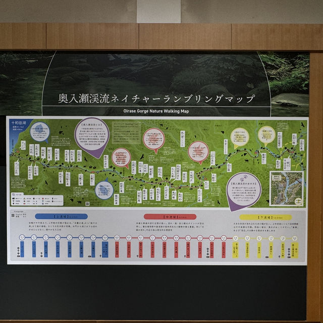 一生中要來一趟的奧入瀬溪流步道